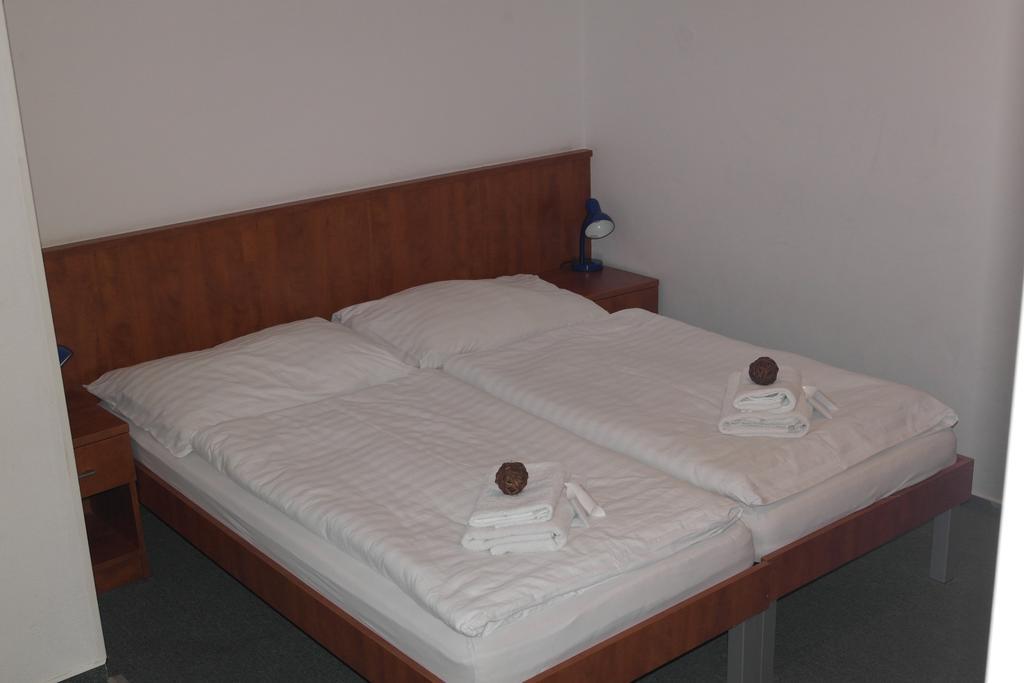 Wellness Hotel Harrachovka الغرفة الصورة